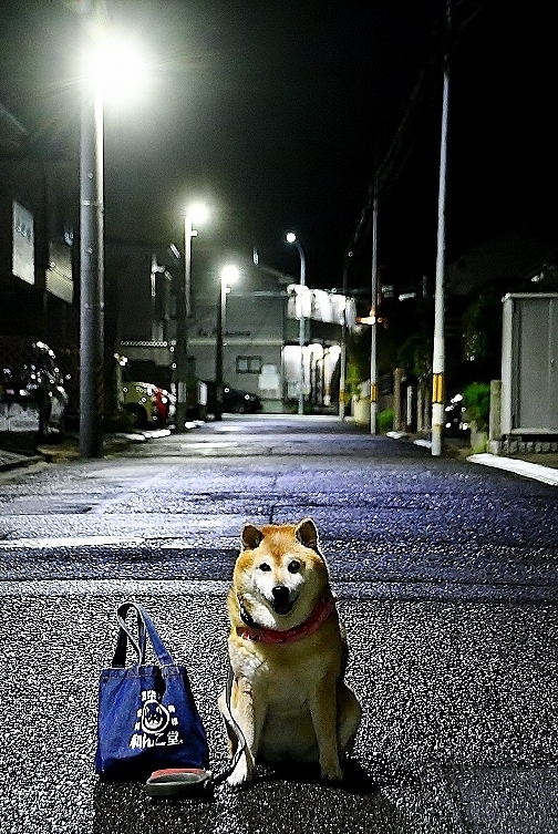 草木も眠る丑三つ時 写心食堂 草木も眠る丑三つ時 写心食堂
