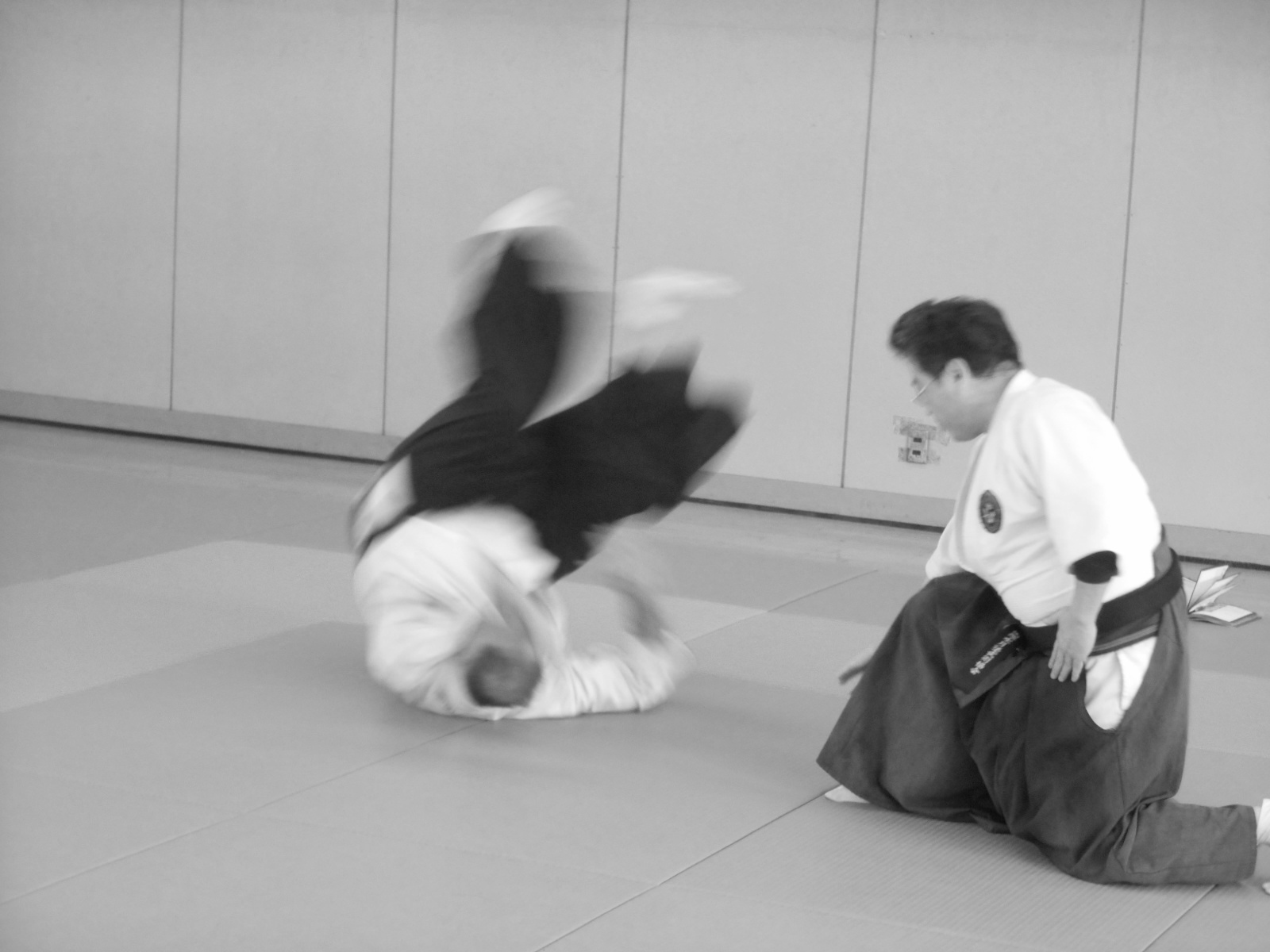 ルーマニア支部会員特別集中稽古終了 国際水月塾武術協会 International Suigetsujuku Bujutsu