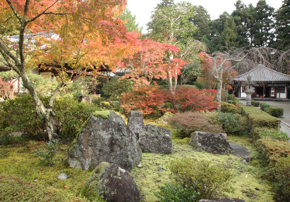 大阪 河内長野市 延命寺 紅葉 １ 魅せられて大和路