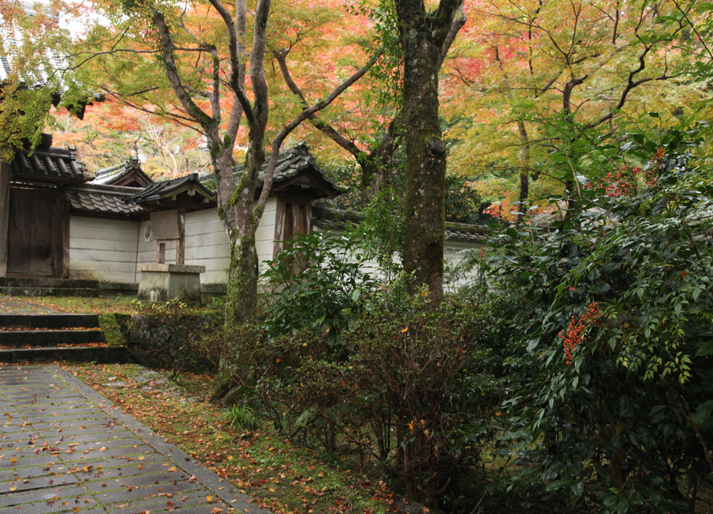 大阪 河内長野市 延命寺 紅葉 １ 魅せられて大和路