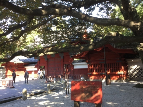 未来は予測できるのか?  東大公開講座_c0175451_04301012.jpeg