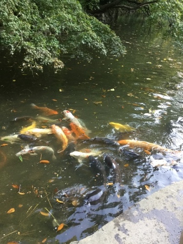 未来は予測できるのか? 東大公開講座_c0175451_23345894.jpeg