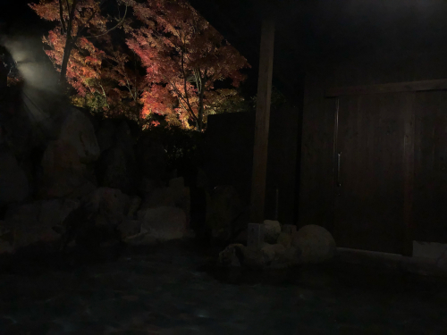 九州旅行2019 〜お部屋滞在編〜_e0310553_20085272.jpg