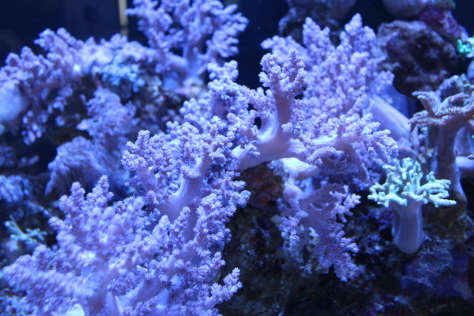 c0100355_11295981.jpg
