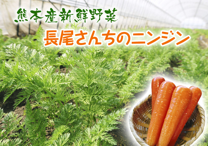 長尾ブランドの新鮮野菜！大人気の朝採りダイコンに続き、朝採りニンジン、朝採りほうれん草販売スタート！_a0254656_17235014.jpg