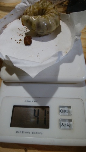 出来すぎ。(3本目)_b0317874_19370565.jpg