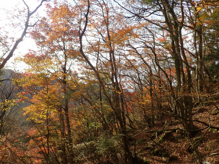 鷹ノ巣山（福岡県添田町）_d0182075_07152207.jpg