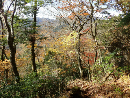 鷹ノ巣山（福岡県添田町）_d0182075_07193061.jpg