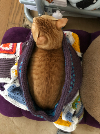 生まれ変わった場所_e0355177_15124545.jpg