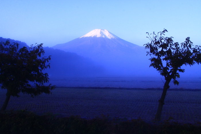 令和元年11月の富士 9 忍野の霧の富士 富士への散歩道 撮影記