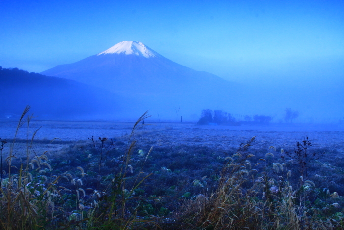 令和元年11月の富士 9 忍野の霧の富士 富士への散歩道 撮影記