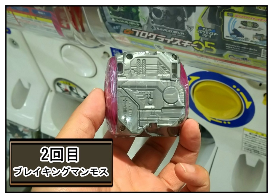 上限額3,000円(6回)で『ビカリア』を狙え!! (GPプログライズキー05)_f0205396_21333139.jpg
