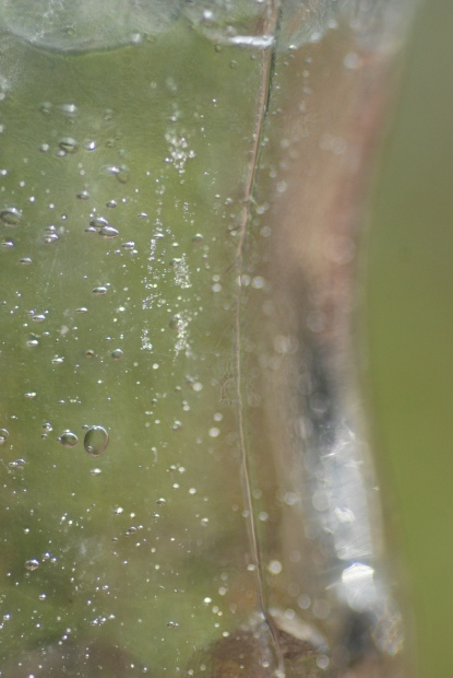 d0359503_18380147.jpg