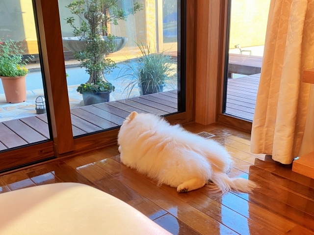 苦手意識_d0360206_00120056.jpg