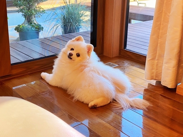 苦手意識_d0360206_00120736.jpg