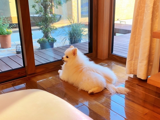 苦手意識_d0360206_00120748.jpg