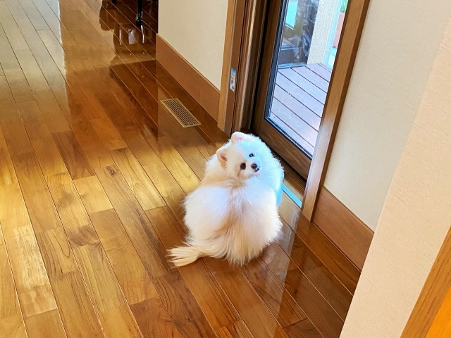 苦手意識_d0360206_00121592.jpg