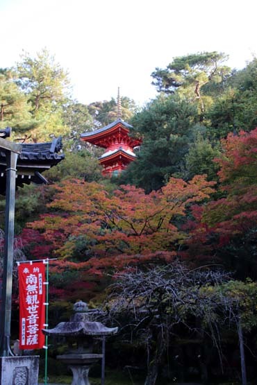 紅葉が始まった　今熊野観音寺_e0048413_22413763.jpg