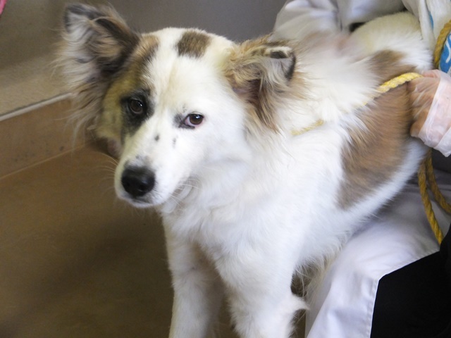 f0078320_12324473.jpg