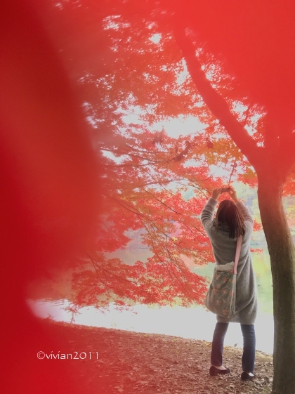 11月の初心者さん向け撮影会　～キラキラの紅葉を撮りましょう～_e0227942_21490260.jpg