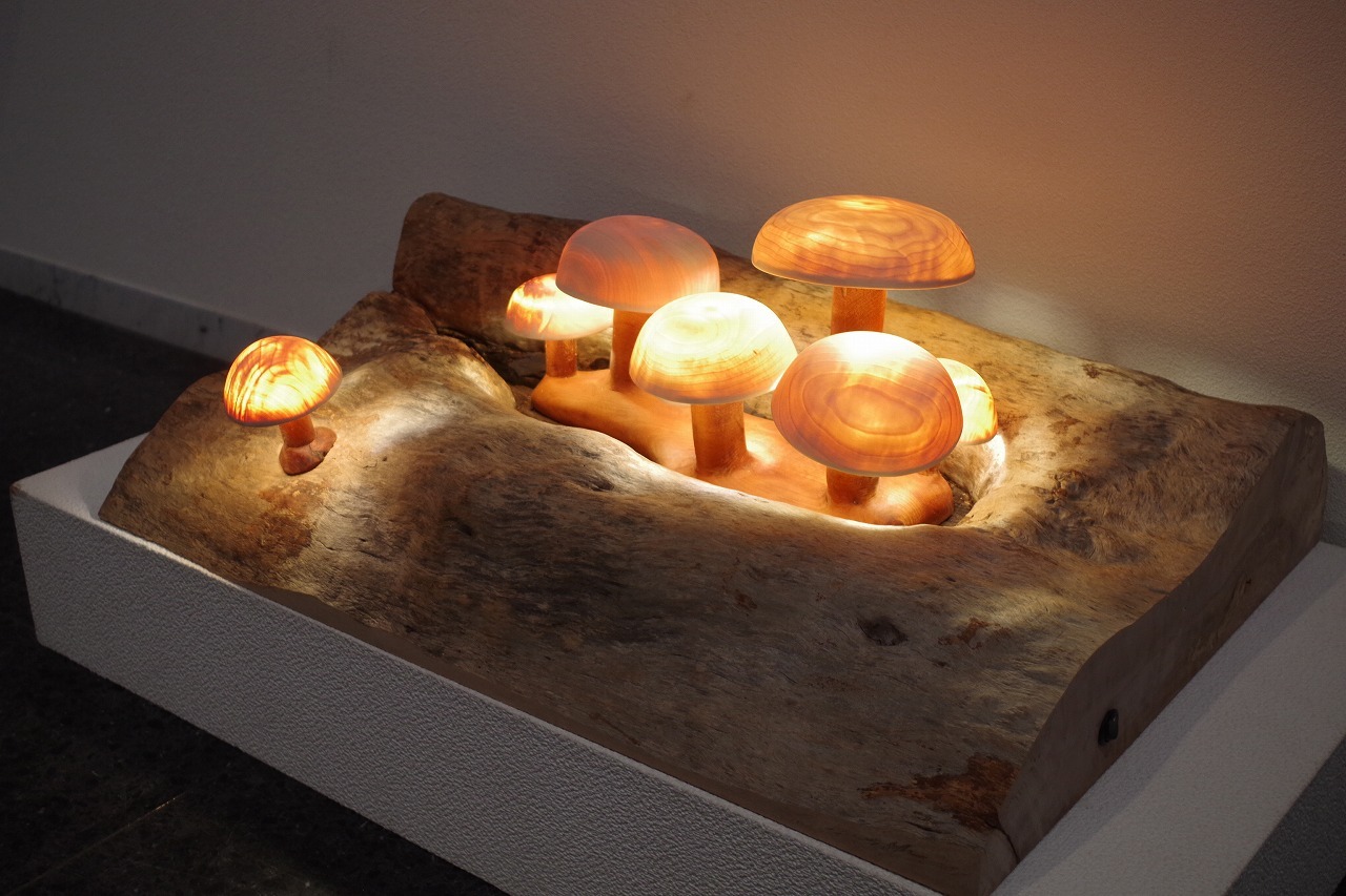 木あかり=第20回現代の創造展 出展作品_f0114346_07232669.jpg