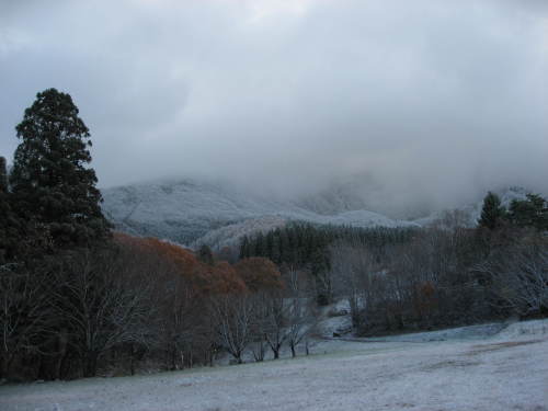初雪_b0365347_21205480.jpg