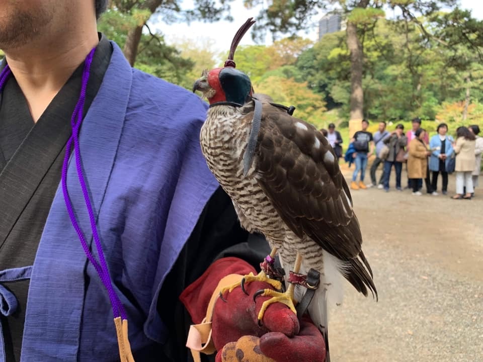 【11月3日小石川後楽園「瘞鷂碑(えいようひ)建立200年記念行事」鷹の舞】_c0132048_06420767.jpeg