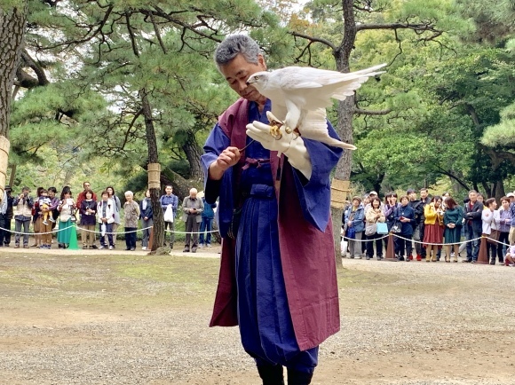【11月3日小石川後楽園「瘞鷂碑(えいようひ)建立200年記念行事」鷹の舞】_c0132048_06441485.jpeg
