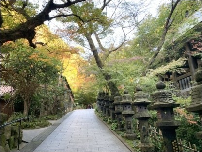 猫友と福岡 最終日_b0300759_09514707.jpeg