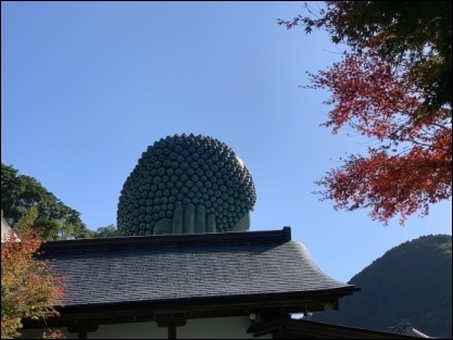 猫友と福岡 最終日_b0300759_09534310.jpeg