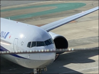 猫友と福岡 最終日_b0300759_09555969.jpeg