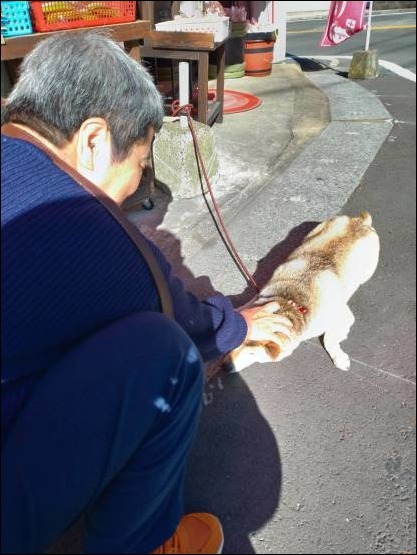 猫友と福岡 最終日_b0300759_10161836.jpeg