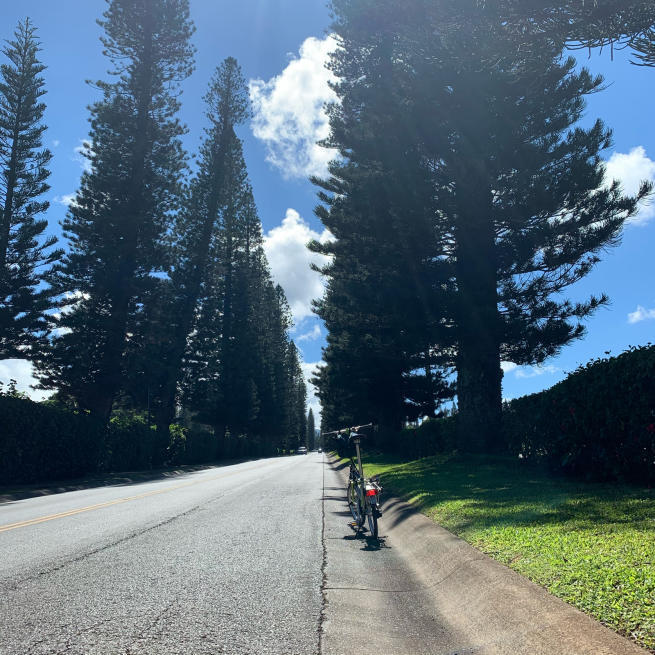 【海外輪行】ブロンプトンを持って海外旅行 ～ハワイ編～_d0197762_12112577.jpg