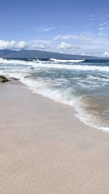 【海外輪行】ブロンプトンを持って海外旅行 ～ハワイ編～_d0197762_12203558.jpg