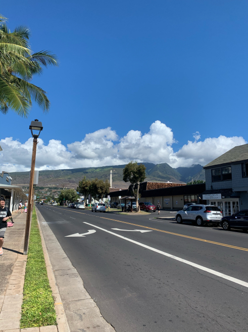 【海外輪行】ブロンプトンを持って海外旅行 ～ハワイ編～_d0197762_12365498.jpg