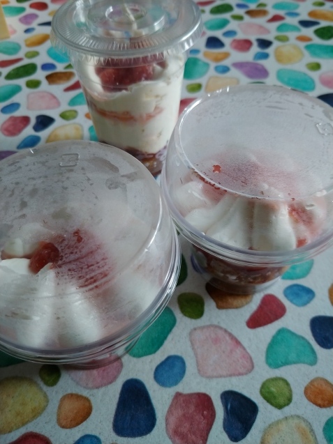 頂き物 スフレケーキプリン🍮_c0162773_10410104.jpg