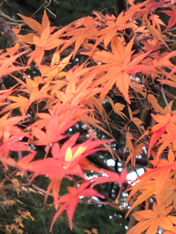振り返りありがとうございました。_e0355177_15160788.jpg