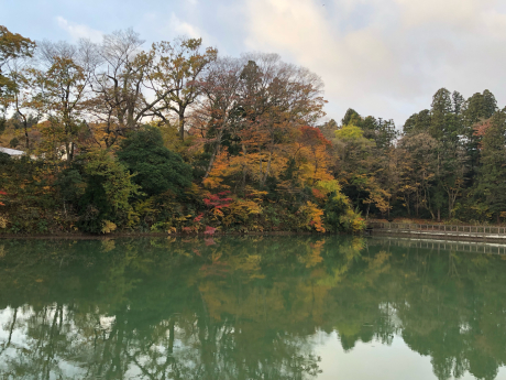 早朝紅葉狩りと梅ちゃんの事情_e0355177_15160913.jpg