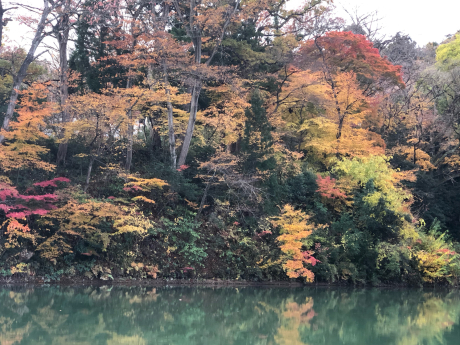 早朝紅葉狩りと梅ちゃんの事情_e0355177_15161532.jpg