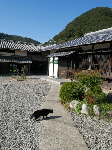 ワンチャン用を巻いてみました_f0054677_09075813.jpeg