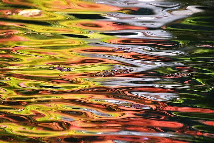 水面模様 moのカメラ散歩 水面模様 moのカメラ散歩