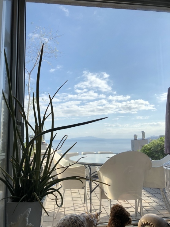 2019年11月20日 すっごく新鮮_b0098584_20324124.jpeg