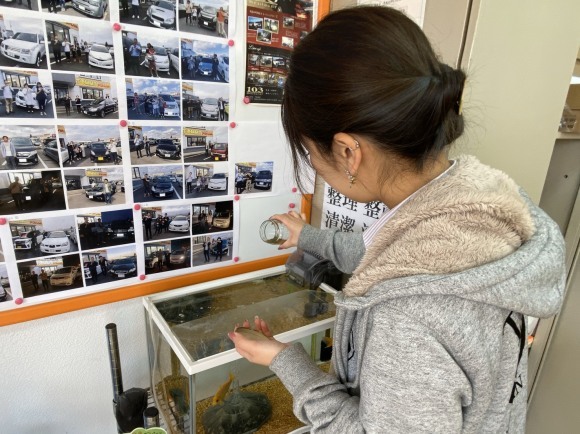 11月21日(木)☆TOMMYアウトレット☆あゆブログ٩(*´∀`*)۶ SX4 M様ご成約★ 自社ローン&ローンサポートはTOMMYまで♪_b0127002_16565699.jpg