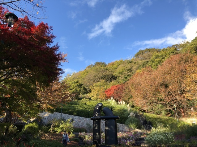 紅葉散策 神戸布引ハーブ園 ハーブガイド ハーブ花ごよみ