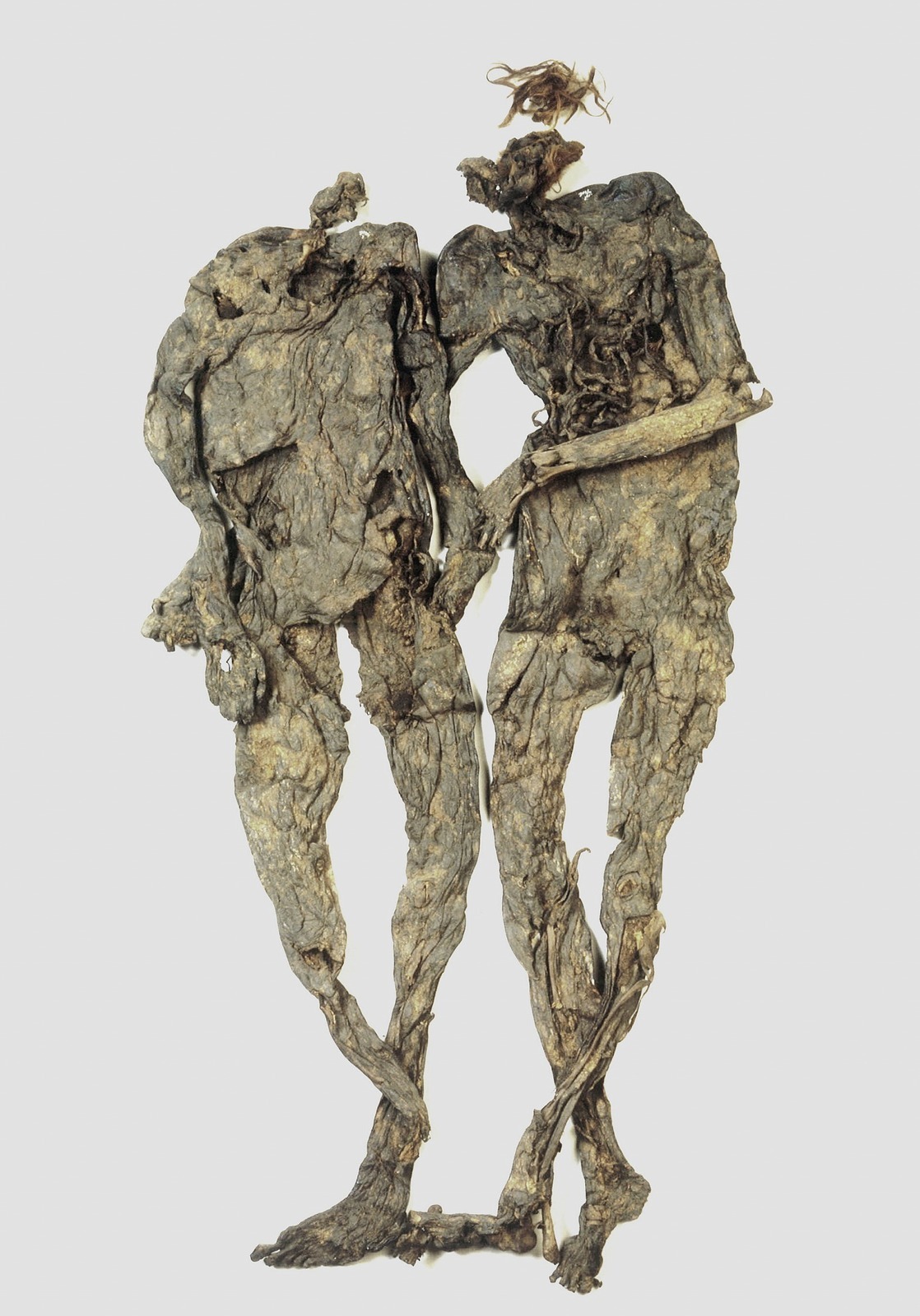 ミイラ 展へ : オートクチュールの旅日記