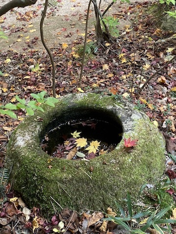 【地方創生のお仕事で川内村へ】_d0170823_08195979.jpg