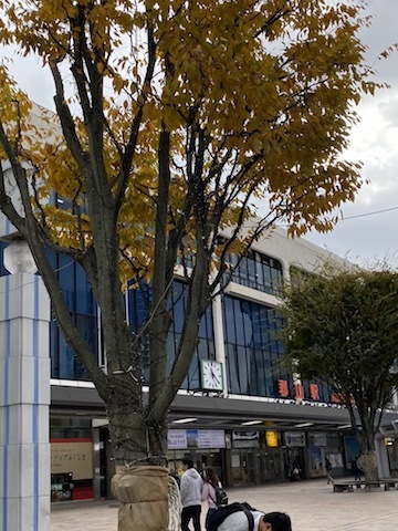 【地方創生のお仕事で川内村へ】_d0170823_08201075.jpg