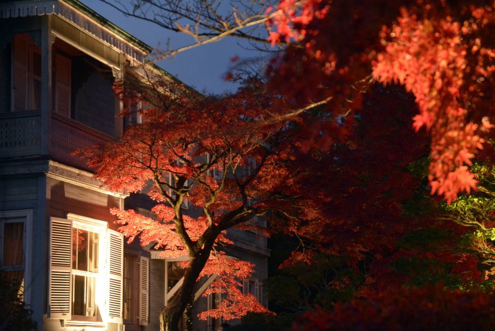 1丁目の紅葉夜景_e0373930_23144561.jpg