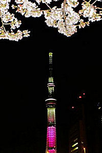 夕闇の富士山と東京スカイツリー_e0413146_19304122.jpg