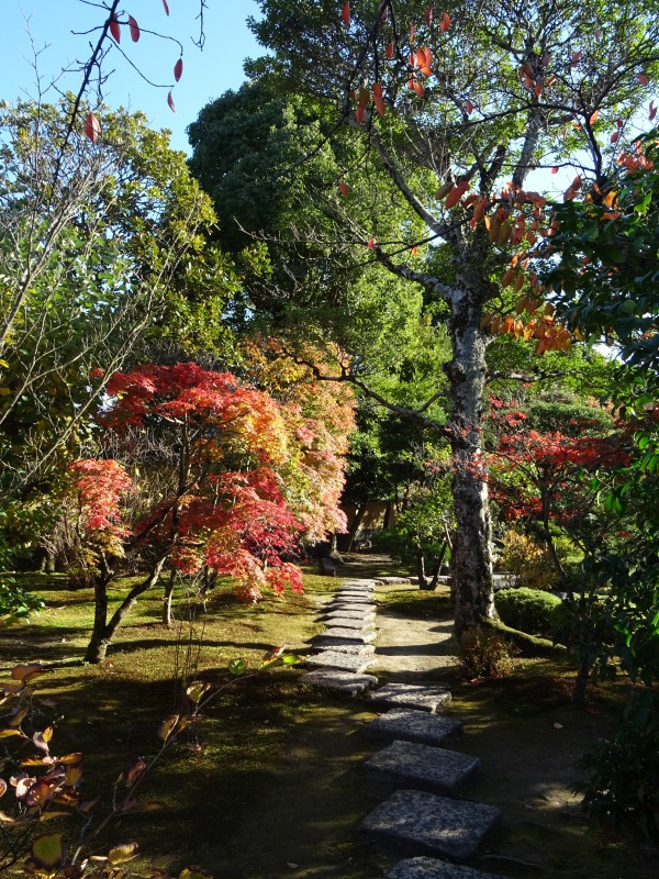 紅葉は今が見ごろ_f0101949_15515498.jpg